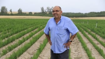 The Benefits of Agromaster<sup>®</sup>: Effective, Fast, and Easy to Apply