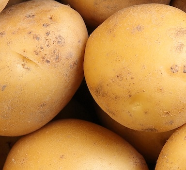 Agromaster<sub>®</sub> Potato Trial in Poland