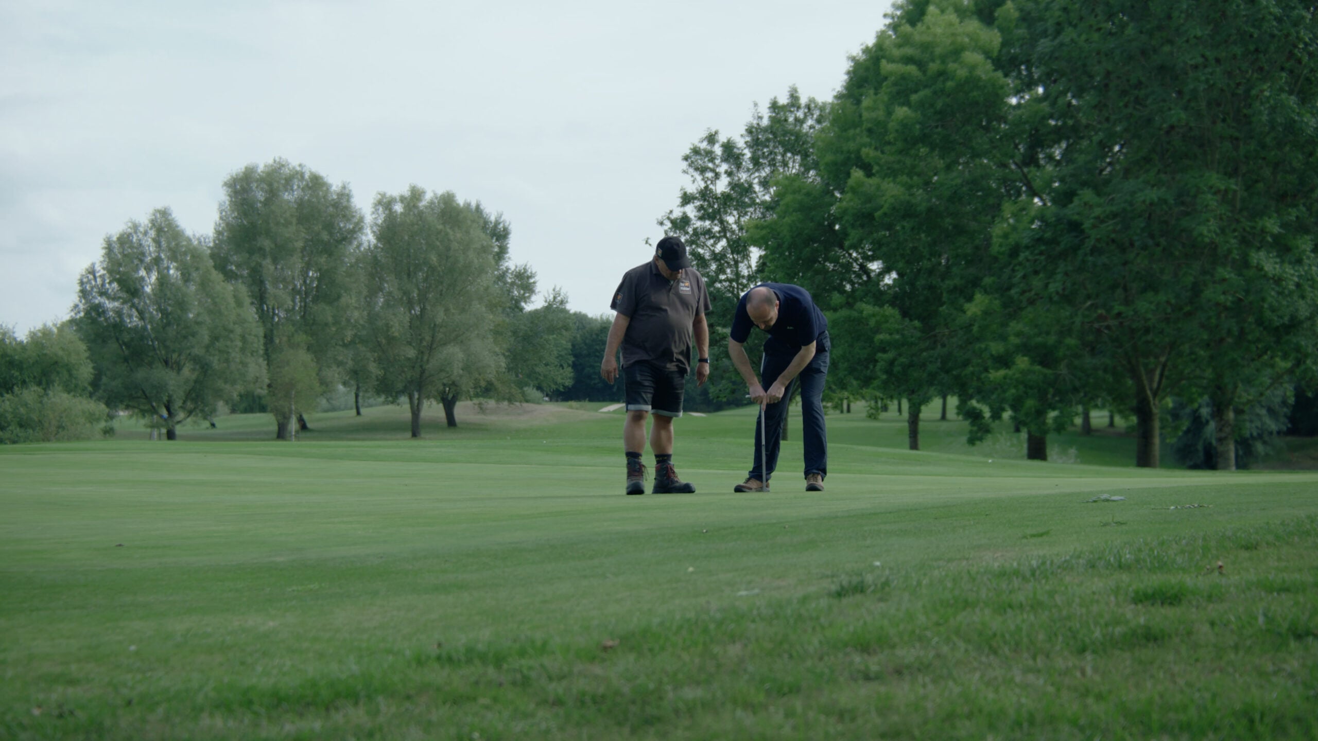 Embracing Integrated Turf Management for turf excellence