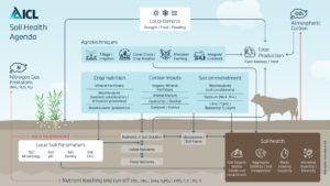 Infographic titled “ICL Soil Health Agenda” showing interconnected factors influencing soil health. It illustrates how local elements (drought, flood, freezing), agro-techniques, crop nutrition, carbon inputs, and soil parameter enhancement all contribute to sustainable agriculture. Icons depict crops, livestock, and soil layers, emphasizing nutrient balance, microbial activity, and climate resilience.