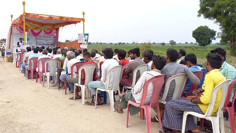 Farmers at the ICL Model Field Day see how ICL’s Polysulphate and Nutrivant improve chili crops