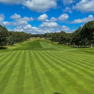 How grass varieties support sustainable turf management