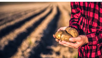 Superior Performance with Controlled Release Fertilizers