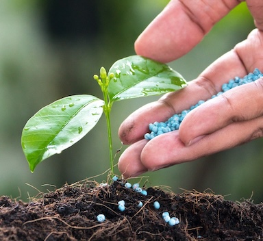 ICL Transforms AgriFood Tech Ecosystem with Planet Startup Hub