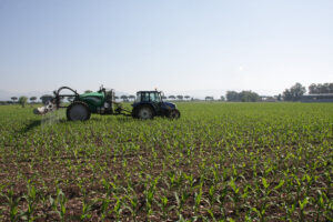 A tractor sprays fertilizer over a large, green maize field under a clear blue sky, promoting even crop growth and healthy development.