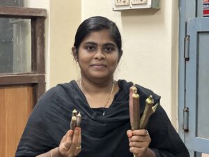 Miss K. Karthika holds several okra pods, displaying the noticeably larger and redder Red Ladyfinger variety grown with Polysulphate fertilizer.