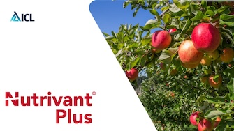 ICL Nutrivant Plus: Foliar Fertilizers for Impressive Results