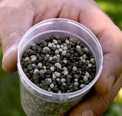 Orchard: top quality with post-harvest fertilization