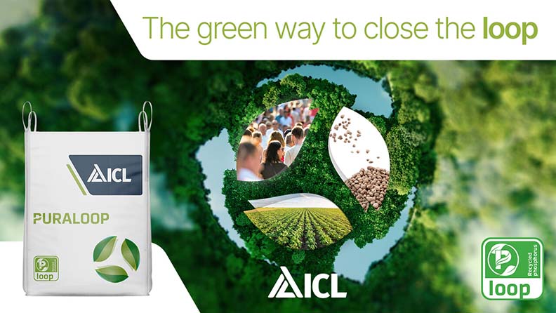 ICL promotional image for Puraloop featuring a white fertilizer bag with green eco-labels on the left and a circular recycling-themed graphic on the right showing people, granules, and crops. The slogan “The green way to close the loop” emphasizes sustainability and phosphorus recycling.