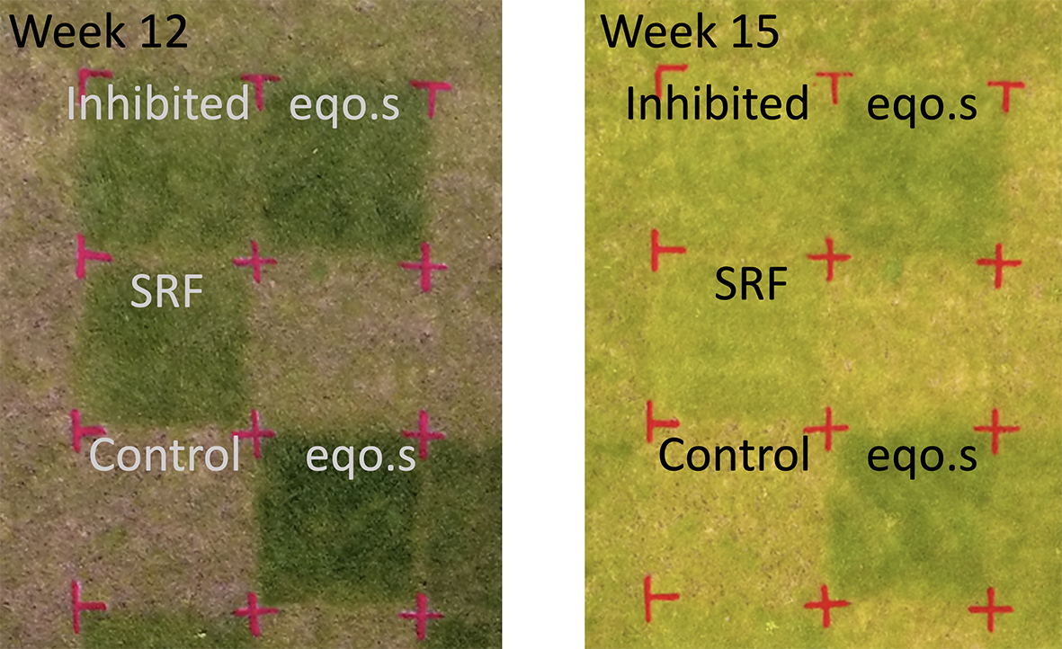 Drone images of a summer fertilizer trial