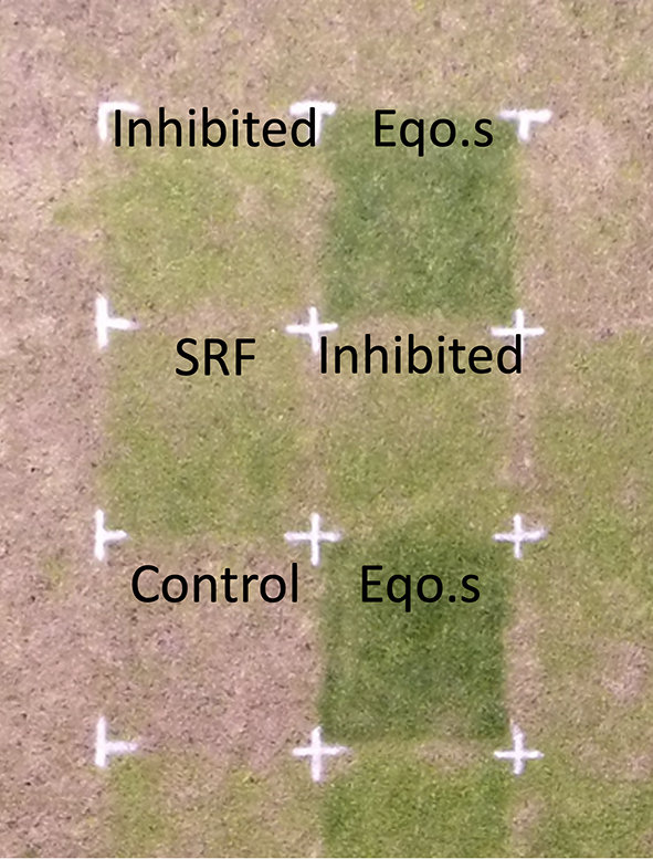 Drone image of a summer fertilizer trial