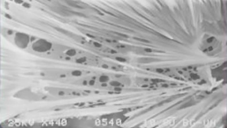 Fertivant sticking and spreading effect on MKP crystals on a citrus leaf