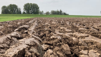 Is there a Connection Between Controlled Release Fertilizers and Soil Health?