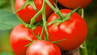 Improving the Nutritional Quality of Crops with Potassium