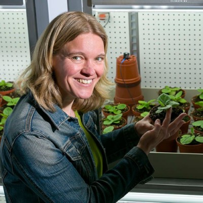Jantineke Hofland-Zijlstra, a researcher and advisor in crop resilience