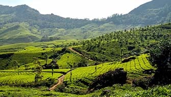 Soil Potassium Fertility in South Asia