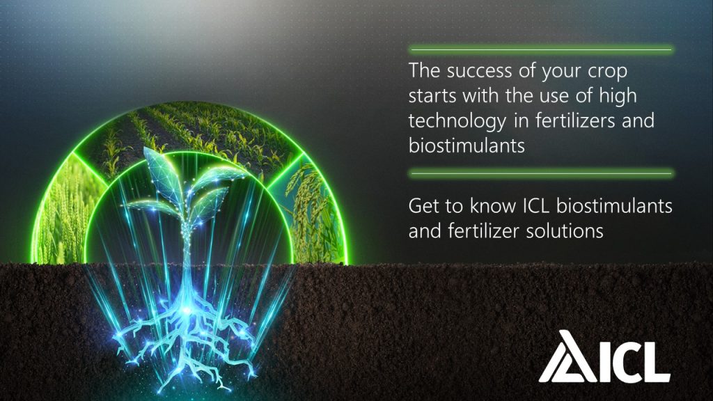 A digitally enhanced plant with glowing roots in soil, symbolizing advanced biostimulant technology for diverse crop growth.