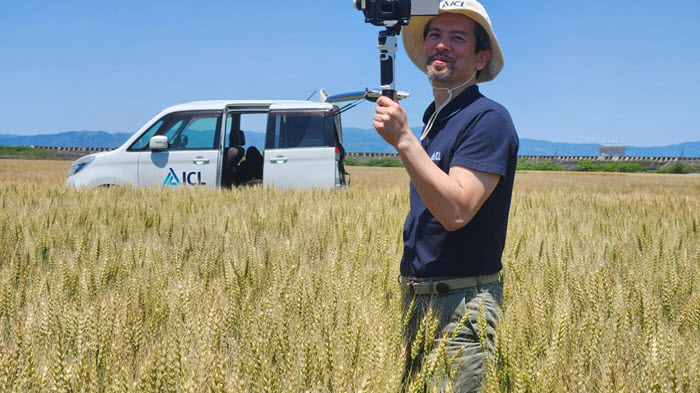 ICL agronomist filming a wheat field with a camera to document crop performance and sustainable agriculture practices in Japan.