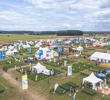 Summary of the DLG Field Days 2024