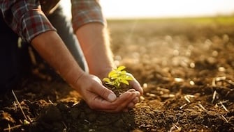 Detecting and Correcting Nutrient Deficiencies