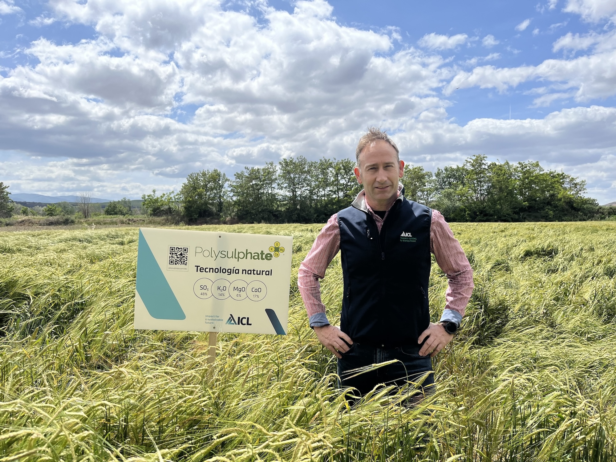 Agronomist standing in a lush cereal field beside an ICL Polysulphate sign promoting natural fertilizer technology for sustainable crop growth.
