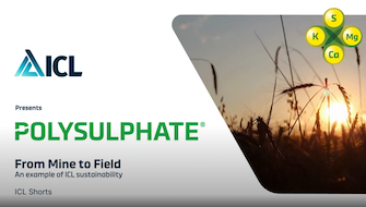 Polysulphate: Improving Sustainability in Italy