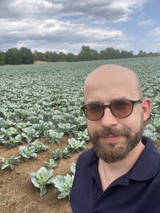 A bald man with a beard and sunglasses stands in a large field of young green cabbage plants under a cloudy sky.