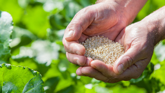 CRF Products: a Smart Solution for Sustainable Farmers