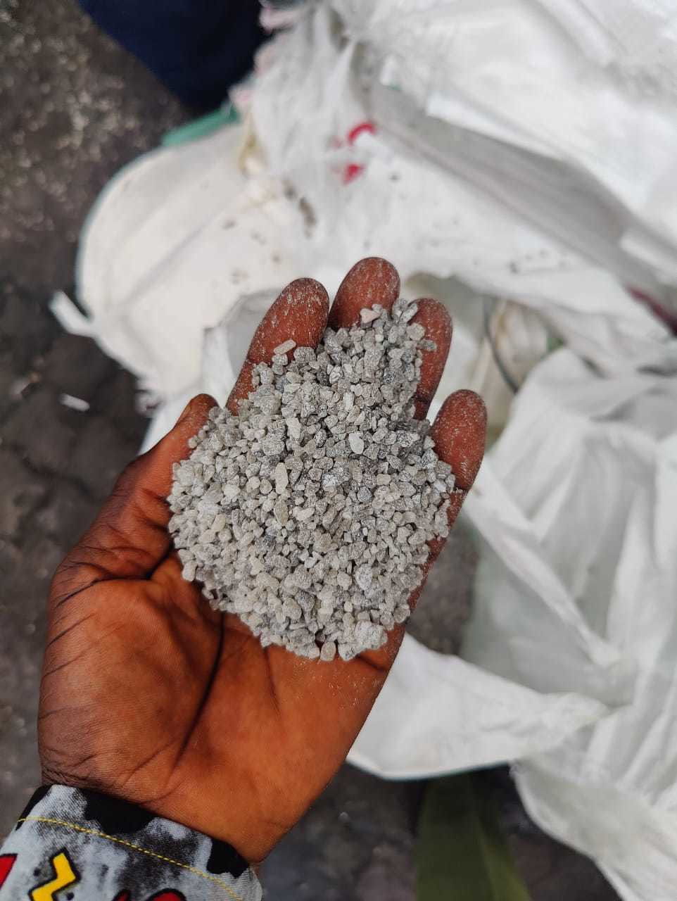 Close-up of a hand holding Polysulphate fertilizer granules, showing the natural gray mineral texture used in sustainable crop nutrition and multi-nutrient soil enrichment.