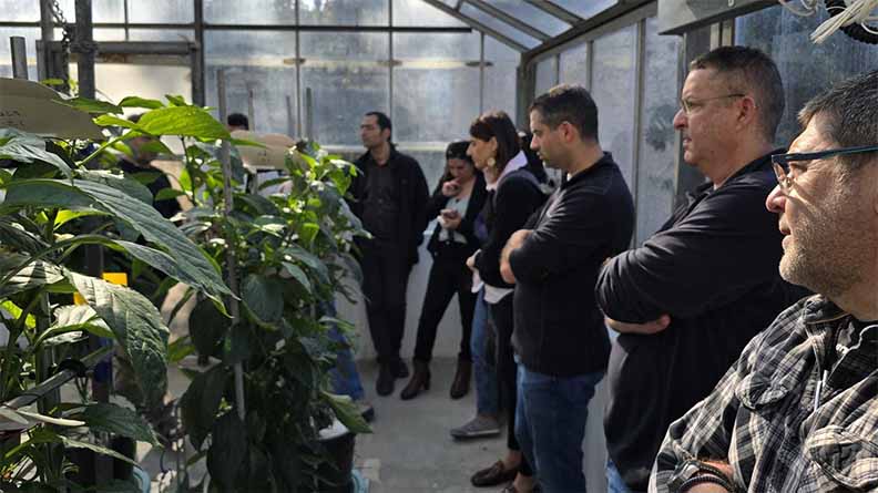 ICL agronomy and R&D teams visit Plantarray glasshouse