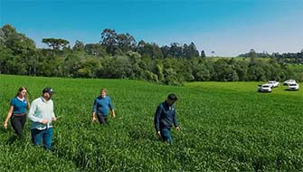 Competition Drives Agricultural Innovation in Brazil