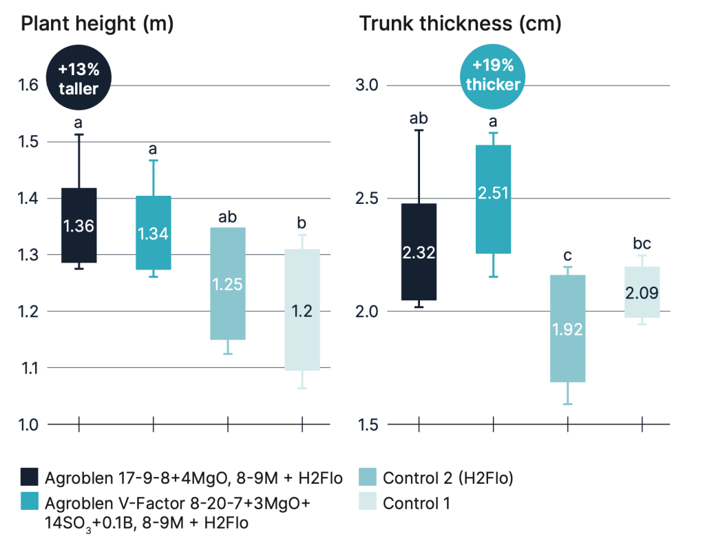 Bar chart comparing plant height and trunk thickness of avocado plants under different treatments. Agrobien V-Factor treatment shows plants 13% taller and 19% thicker than controls.