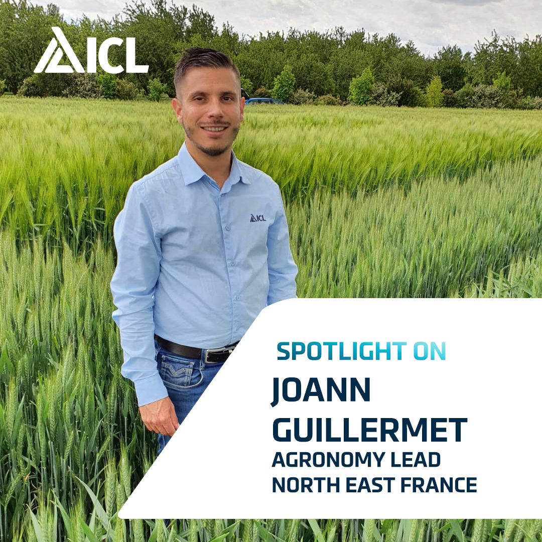 Joann Guillermet, Agronomy Lead for North East France at ICL, stands smiling in a lush green field of crops under a partly cloudy sky. The ICL logo and the text “Spotlight on Joann Guillermet, Agronomy Lead, North East France” are displayed on the image.