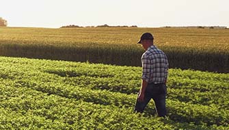 The Central Role of ICL Agronomists