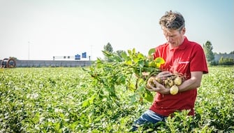Finding Your Fertilizer Match: How Precision Can Improve Profitability