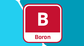 The Importance of Boron in Plant Nutrition
