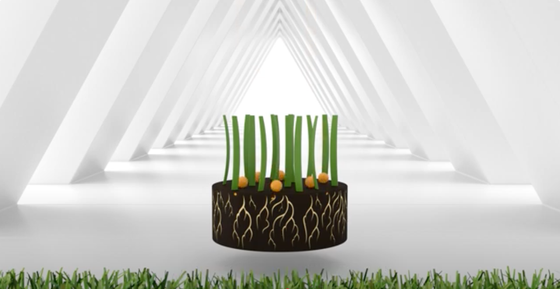 Let’s zoom in on Controlled Release Fertilizers for turfgrass