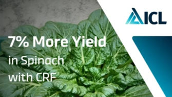 Trial: Agromaster Increased Spinach Yields