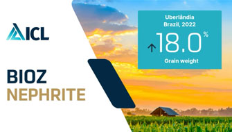 BIOZ Nephrite Boosts Maize Yields by Enhancing Nitrogen Metabolism