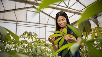 Center for Fertilization and Plant Nutrition (CFPN): Advancing Food Security from the Negev
