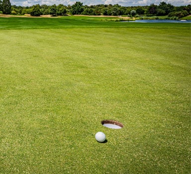 Sportsmaster WSF SMX reduced Plant Parasitic Nematodes