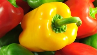 Pepper
