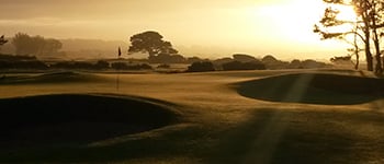 Why turf stress always comes back to photosynthesis