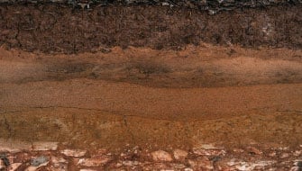 The Hidden Costs of Soil pH Imbalance and Nutrient Stratification
