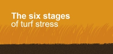The Six Stages of Turf Stress
