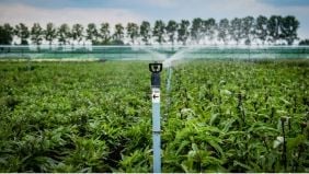 The Difference Between Salinity and Conductivity of Irrigation Water