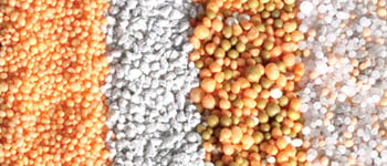 Test your knowledge of nutrients with our quick quiz