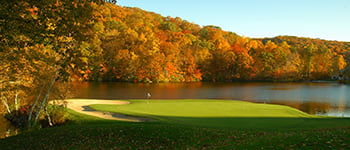 High-quality turf grass is a crucial foundation for creating superior turf surfaces
