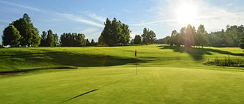 Test your wetting agent knowledge with our quiz