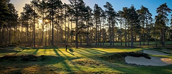Quality greens recovered
